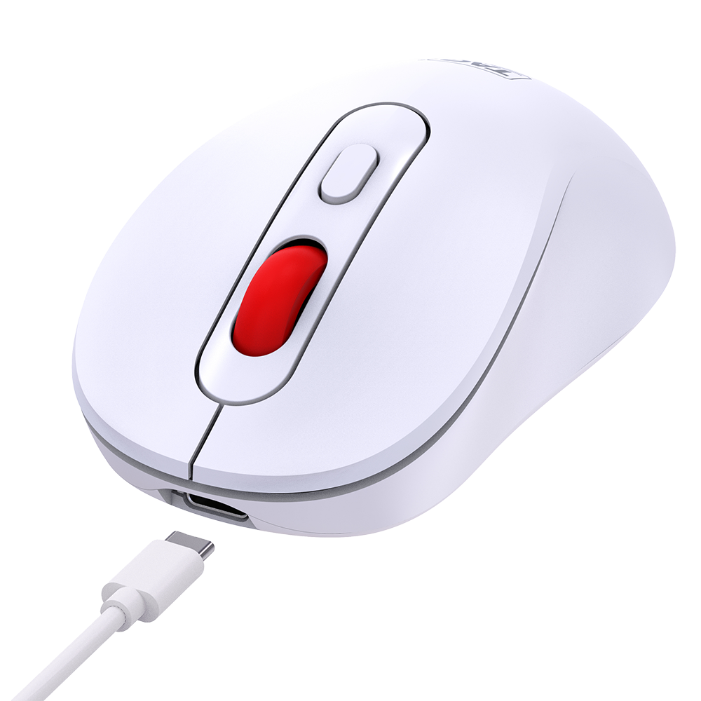 Wireless Mouse WM6000